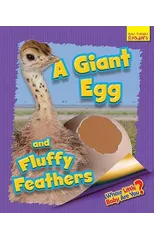 Whose Little Baby Are You? A Giant Egg and Fluffy Feathers