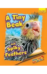 Whose Little Baby Are You? A Tiny Beak and Spiky Feathers