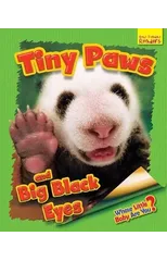 Whose Little Baby Are You? Tiny Paws and Big Black Eyes
