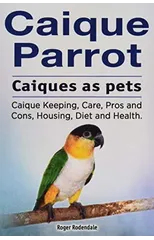 Caique parrot. Caiques as pets. Caique Keeping, Care, Pros and Cons, Housing, Diet and Health.