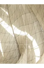 Embodied Light