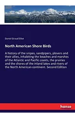 North American Shore Birds
