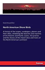 North American Shore Birds