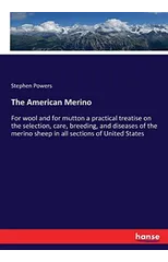 The American Merino