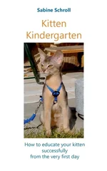 Kitten Kindergarten