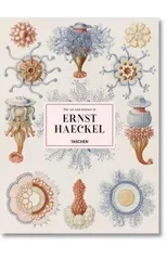 The Art and Science of Ernst Haeckel