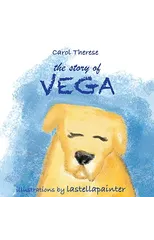 The story of Vega