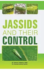 Jassids and Their Control
