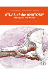 Atlas of the Anatomy of Dolphins and Whales