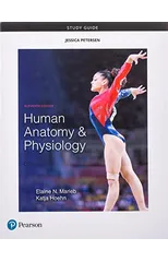 Study Guide for Human Anatomy & Physiology