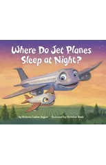 Where Do Jet Planes Sleep at Night?