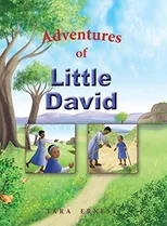 Adventures of Little David