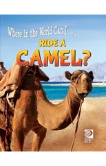 Ride a Camel?
