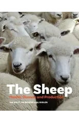The Sheep