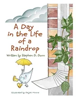 A Day In The Life Of A Raindrop