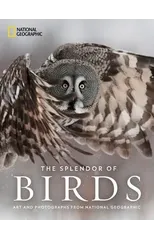 The Splendor of Birds