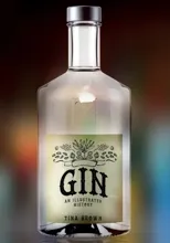 Gin