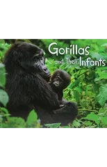 Gorillas and Their Infants