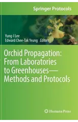 Orchid Propagation