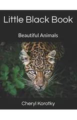 Little Black Book