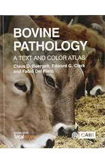 Bovine Pathology