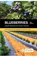 Blueberries