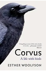 Corvus