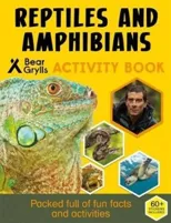 Bear Grylls Sticker Activity