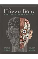 The Human Body