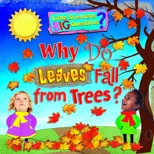 Why Do Leaves Fall From Trees?