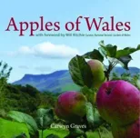 Compact Wales