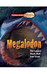Megalodon