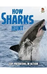 Shark! How Sharks Hunt