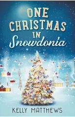 One Christmas in Snowdonia