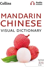 Mandarin Chinese Visual Dictionary