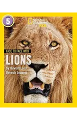 Face to Face with Lions