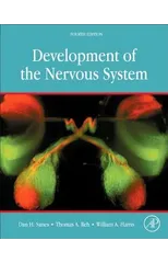 Development of the Nervous System