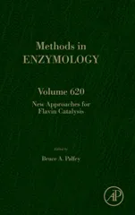 New Approaches for Flavin Catalysis