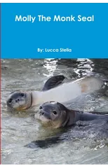 Molly The Monk Seal