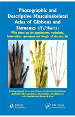 Photographic and Descriptive Musculoskeletal Atlas of Gibbons and Siamangs (Hylobates)