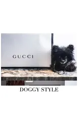 Gucci Doggy Style