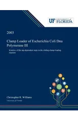 Clamp Loader of Escherichia Coli Dna Polymerase III