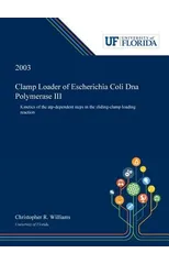 Clamp Loader of Escherichia Coli Dna Polymerase III