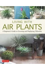 Living with Air Plants