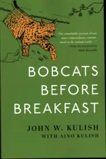 Bobcats Before Breakfast