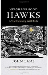 Neighborhood Hawks