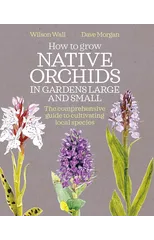 How to Grow Native Orchids in Gardens Large and Small