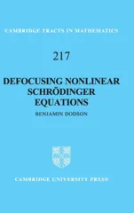 Defocusing Nonlinear Schrodinger Equations