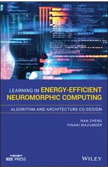 Learning in Energy-Efficient Neuromorphic Computing