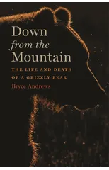 Down From The Mountain